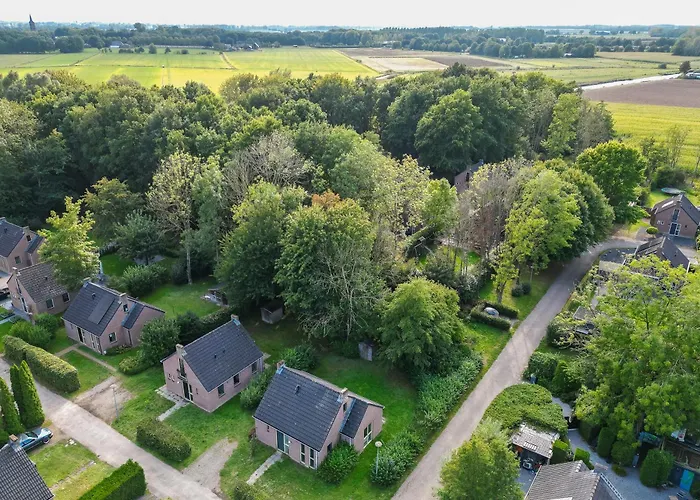 4 - Persoons Forest 159